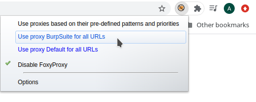 use-burpsuite-proxy