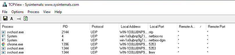 using-tcpview